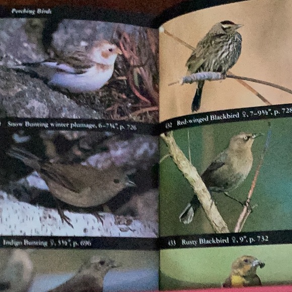 National Audubon Society Field Guide to North American Birds : Eastern Region EC - Picture 8 of 16